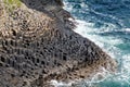 Staffa rocky coastline