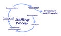 Staffing Process