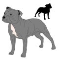 Staffordshire Bull Terrier dog silhouette