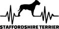 Staffordshire Bull Terrier heartbeat