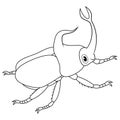 Stag beetle cartoon line art