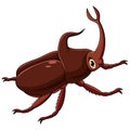 Stag beetle cartoon on white background Royalty Free Stock Photo