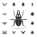 stag beetle. Detailed set of insects items icons. Premium quality graphic design. One of the collection icons for websites, web de