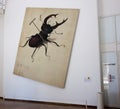 Stag Beetle after Durer Royalty Free Stock Photo