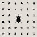 stag beetle icon. insect icons universal set for web and mobile