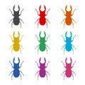 Stag beetle icon or logo, deer beetle, color set Royalty Free Stock Photo