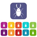 Stag beetle icons set