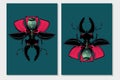 Stag beetle insect with poppy flower. Flora and fauna vintage print. Tattoo style illustration print with plant and bug.