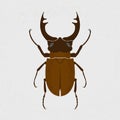 Stag beetle, the largest beetle