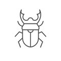 Stag beetle line outline icon
