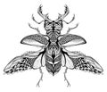 Stag-beetle tattoo. psychedelic, zentangle style.