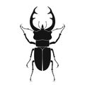 Stag beetle vector icon isolated. Black stag beetle logo in flat style Royalty Free Stock Photo