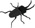 Stag beetle vector, with large horns, dark color, on a white background Royalty Free Stock Photo