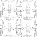 Stag beetle vector seamless pattern isolated on white background Royalty Free Stock Photo