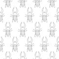 Stag beetle vector seamless pattern isolated on white background Royalty Free Stock Photo