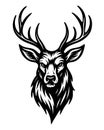 Stag head illustration with detailed antlers Royalty Free Stock Photo
