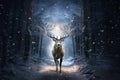 A stag walking on a path in a dark wood illuminated by moon