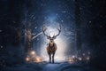 An adult stag walking on a path in a dark wood illuminated by small sparkles in a winter evening