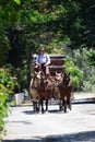 Stage Coach Approaching Columbia California State Park