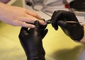 Stage of preparing nails for applying nail polish. Combined manicure process