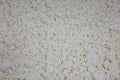 Stage in production of cheese. Forming pressing of cheese mass. Cheese grains about 3 cm in size. Decontamination of the