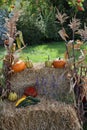 A harvest scene oriented in portrait mode Royalty Free Stock Photo