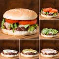 Stages of collection of traditional burger