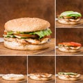 Stages of collection of traditional burger