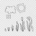 Stages of flower growth. Cloud, rain, sun, bud, tulips Royalty Free Stock Photo