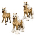 Stages of growing brown horse with a white mane Royalty Free Stock Photo