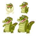 Stages of growth and maturation of crocodiles isolated on white background. Vector cartoon close-up illustration.