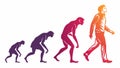 Stages of Human Evolution, Progress Development Vector Design Generative AI Royalty Free Stock Photo