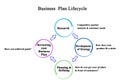 Business Plan Lifecycle