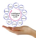 Intelligent Learning Cycle Royalty Free Stock Photo
