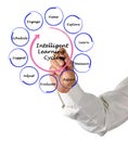 Stages of Intelligent Learning Cycle Royalty Free Stock Photo