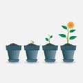 Stages of plant growth, plant growing schedule, infographic