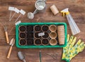 Stages of planting seeds, organic pots with soil, gardeners tools and utensils