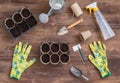 Stages of planting seeds, organic pots with soil, gardeners tools and utensils