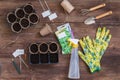 Stages of planting seeds, preparation, gardeners tools and utensils, colorful gloves, organic pots