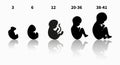 Stages of pregnancy and baby fetus development vector infographic black silhouette. Pregnancy trimesters, weeks and Royalty Free Stock Photo