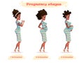 Stages of pregnancy vector illustration of black pregnant woman.african-american pregnant.Changes in a woman`s body in pregnancy.