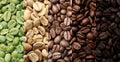 Stages of roasting coffee beans, collage. Banner design Royalty Free Stock Photo