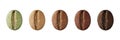 Stages of roasting coffee beans on white background, collage. Banner design Royalty Free Stock Photo