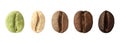 Stages of roasting coffee beans on white background, collage. Banner design Royalty Free Stock Photo