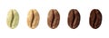 Stages of roasting coffee beans on white background, collage. Banner design Royalty Free Stock Photo