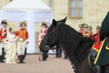 staging a historical scene with the royal family and horse guards on the parade ground in front of the royal palace. The