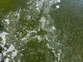 Stagnant polluted water with foam bubbles on surface. aerial view Royalty Free Stock Photo