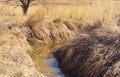 Stagnant Water in a Dry Field Royalty Free Stock Photo