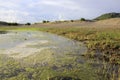 Stagnant water in the sand dune geoheritage