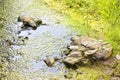 Stagnant water with stones emerging on the surface Royalty Free Stock Photo
